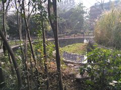 -成都市活水公园