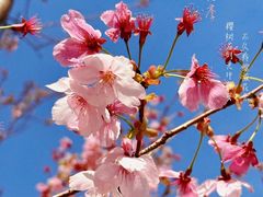 -湖南烈士公园(芙蓉区)