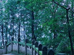 -道教老君洞