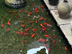 -几荷·恰似故人来(秀水广场店)