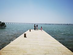 -宝安西湾红树林湿地公园