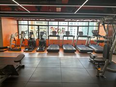 -健身专家Wellness Experts