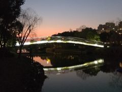 -南翔镇银翔湖公园