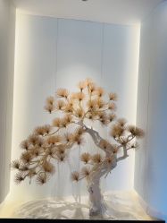 -雅荷悦来双美