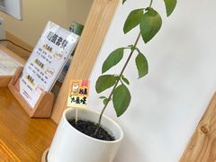 九层塔-呷贺盐酥鸡(抄纸巷店)