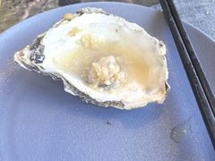 -济南凯宾斯基酒店-THE VIEW云景全日制餐厅