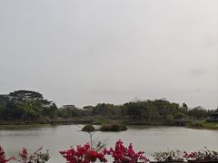 -福田红树林生态公园