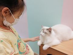 -酷豆宠物咖啡·宠物美食·撸猫馆