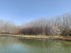 -仁和公园(顺义区)