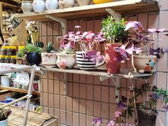 -小洲村