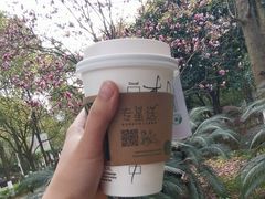 -星巴克臻选(重庆大学城熙街店)