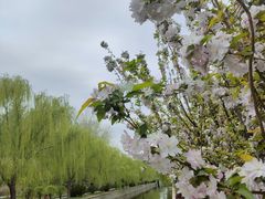 -海棠花溪(元大都城垣遗址公园)