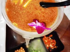 -庆合府重庆大排档(紫都城店)