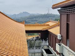 -深圳仙湖植物园