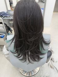 -蚂蚁造型俱乐部