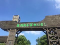 -溱湖国家湿地公园