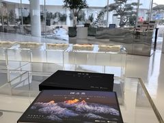 -罗红摄影艺术馆