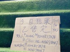 -曼阁市场水果批发市场