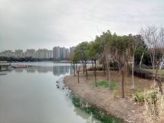 -南翔镇银翔湖公园