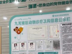 -瑞派名望志远动物医院·猫科·內科·异宠专科(直港大道店)