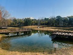 -美兰湖景区