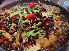 -老板恋上鱼(恒隆广场店)