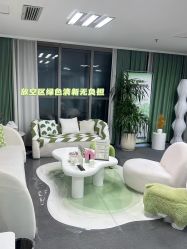 -凡碧诗毛孔清洁收细