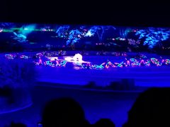 -鼎盛王朝康熙大典实景演出