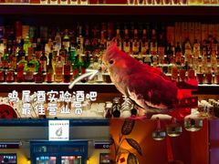 -鸡尾酒实验室酒吧(隆礼路店)