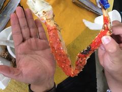 -蚝专家(北滘店)
