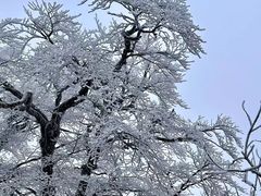 -永州阳明山国家森林公园