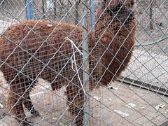 -长白岛森林公园