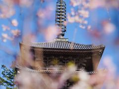 -醍醐寺