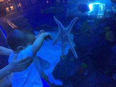 -成都浩海立方海洋公园