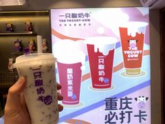 -一只酸奶牛(八一路店)