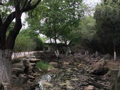 -幕燕滨江·长江观音景区