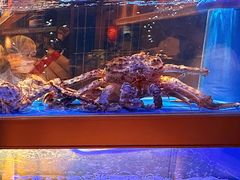 -海底捞大排档火锅(悦荟广场店)