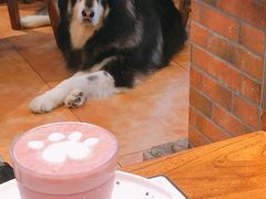 -more than meow吴止猫主题餐厅(承德 中船汇店)