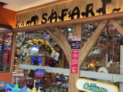 点击看大图 -卡通尼·Safari非洲探索乐园·生日会(金桥国际商业广场店)