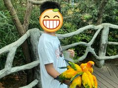 -红山国家森林公园