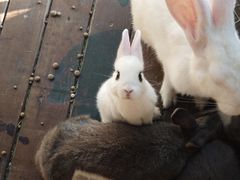 -HERRE·FARM 赫尔露营农场·团建聚会包场