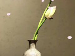 -晓寿司·精致料理(绿地店)