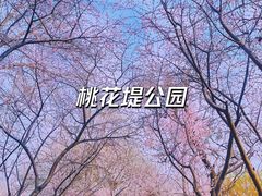 -桃花堤公园