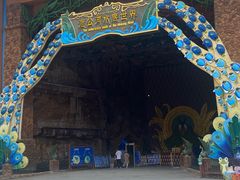 -西双版纳原始森林公园