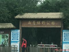 -西青郊野公园