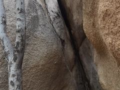 -北京凤凰岭