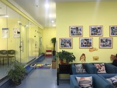 -瑞鹏宠物医院·爱宠堂·骨外专科(西荷分院)