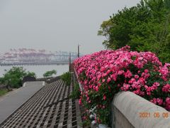 -上海滨江森林公园