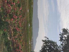 -光明小镇欢乐田园