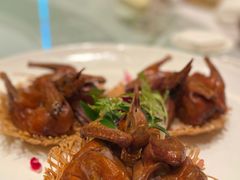 脆皮乳鸽-富淳饭店(陆家嘴保利广场店)